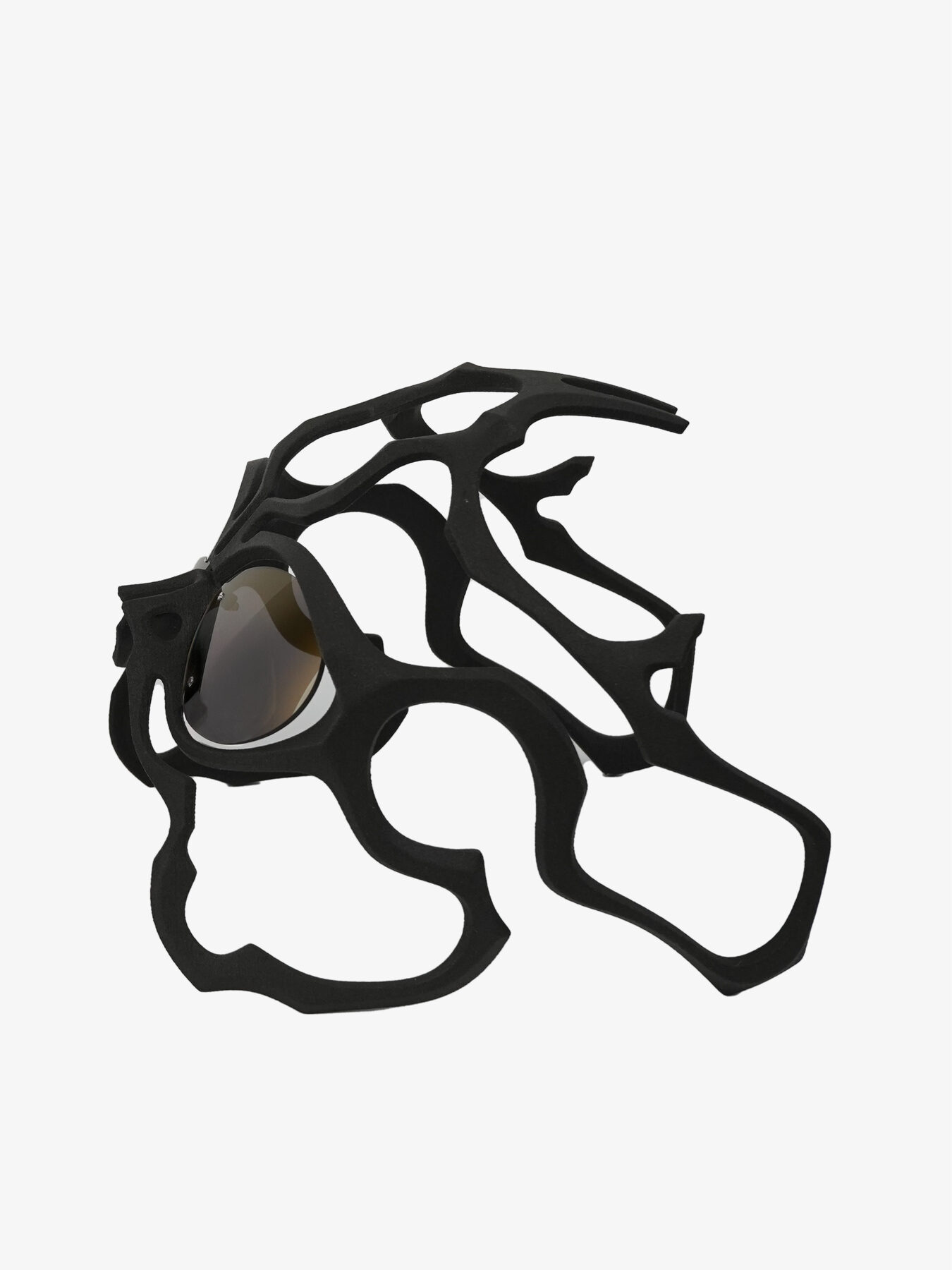 Cortex