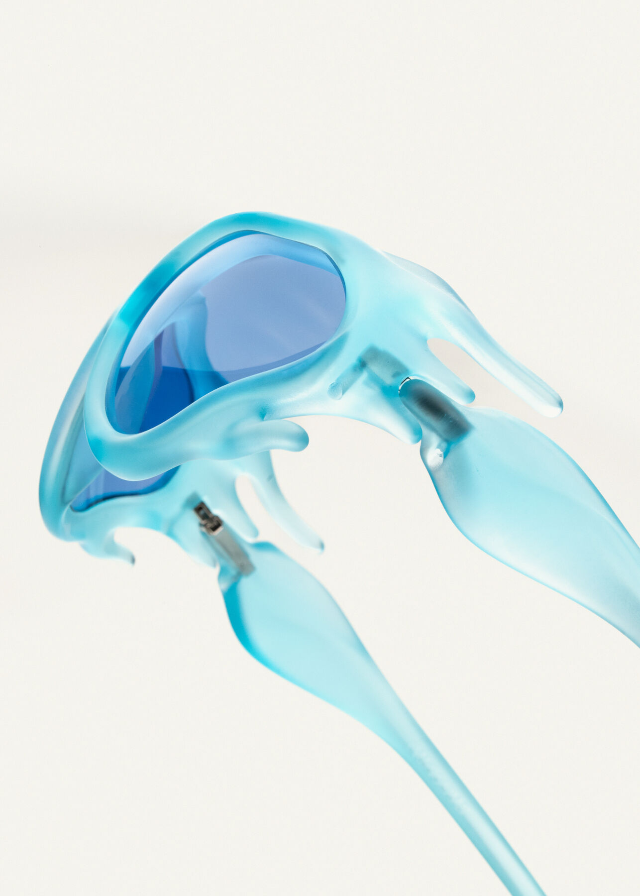 Hydroceras